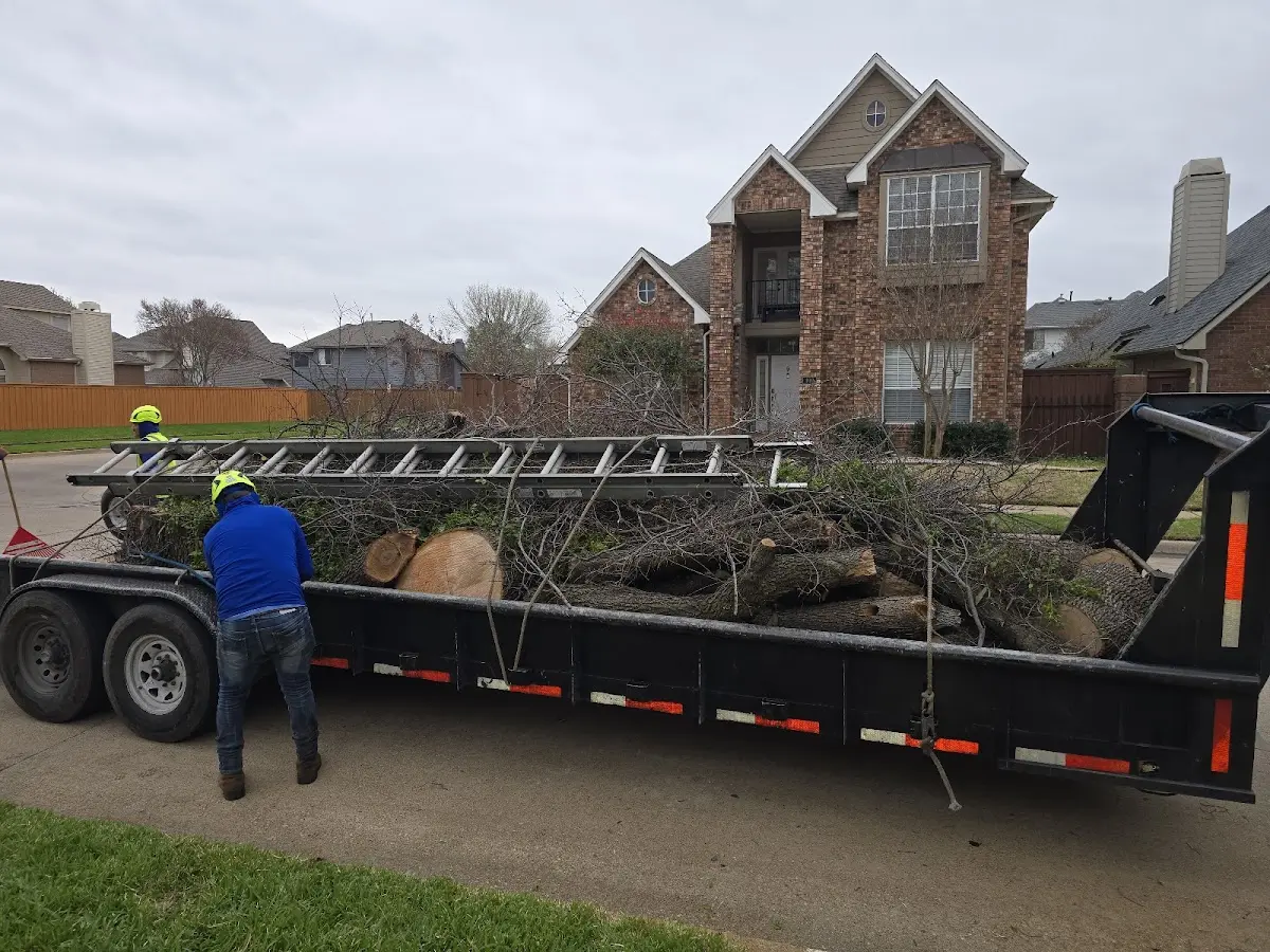 Expert Tree Removal with proper safety equipment in Navarro